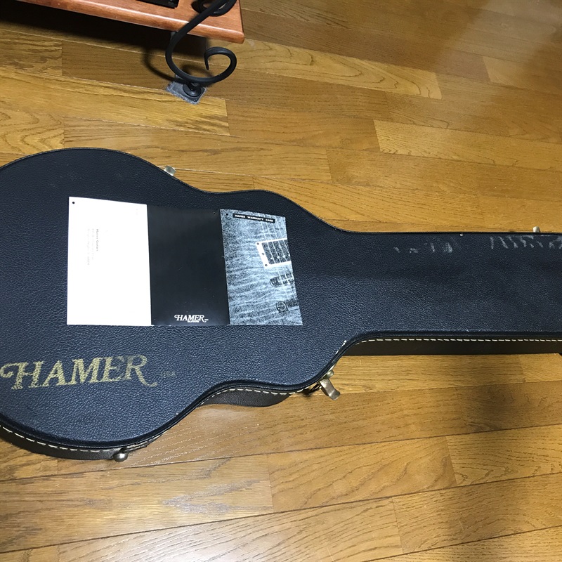 HAMER USA Studio Custom GATCの画像
